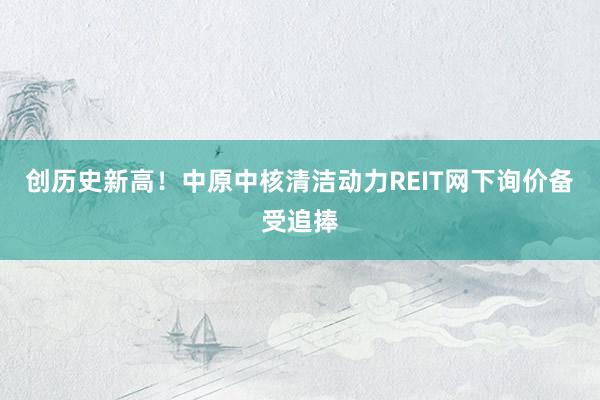 创历史新高!中原中核清洁动力REIT网下询价备受追捧
